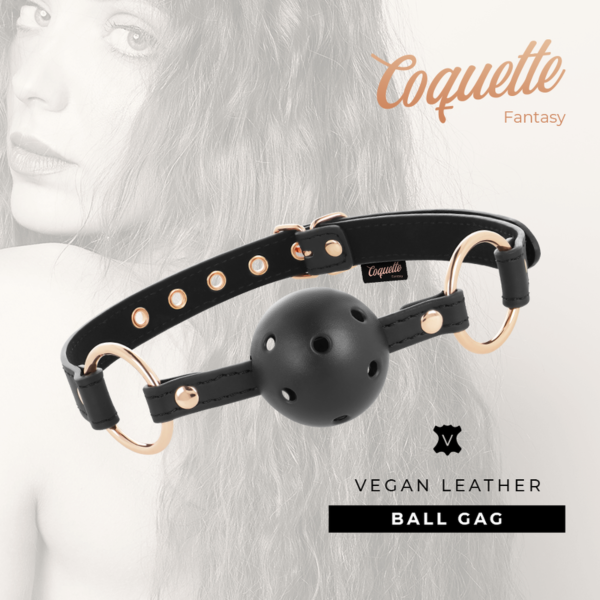 Ballknebel Coquette Chic Desire Fantasy mit Atemlöchern