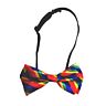 Bowtie Stolz Flagge lgbt