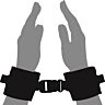 Handschellen Loving Joy Beginners Wrist Restraints für Einsteiger