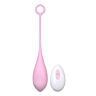 Vibrations-Ei Loving Joy Remote Controlled mit 10 Funktionen