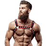 Harnisch Herren FETISH SUBMISSIVE ATTITUDE Brust Bullog