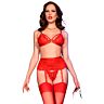 5-teiliges Lingerie Set Chilirose CR 4895 mit Flogger