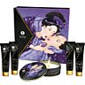 Shunga - Secret Geisha Exotische Früchte - Set für Erotische Massage