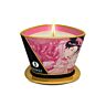 SHUNGA CANDLES Massagekerze Mini Caress 170 ml