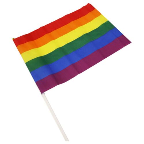 Wimpel Groß PRIDE mit LGBT-Flagge für Feiern