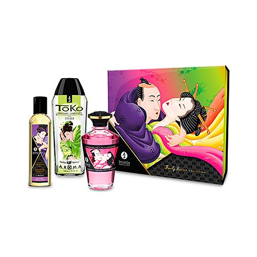 Shunga Fruity Kisses Collection – Paar-Kit mit Massageöl