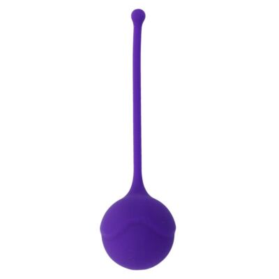 Kegel Fit Lila