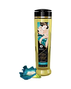Shunga sinnliches erotisches Massageöl