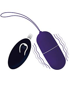 Ei Vibrator Lila Fernbedienung - Lila Control