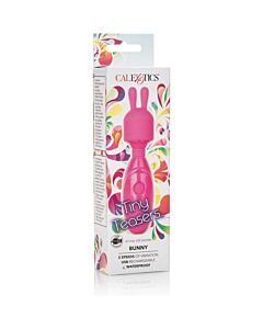 Winzige Teaser Hasenrosa