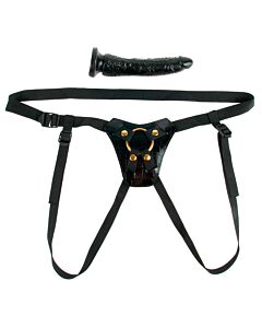 Harness sagt Fetisch Fantasie Gold