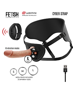 Arnes Cyber Control: Cyber-Kontrollgurt