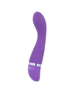 Intensiver Lila Luxus Vibrator