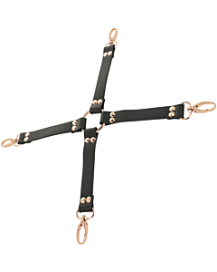 Hogtie Coquette Chic Vegan Leather

Bondage Coquette Chic aus veganem Leder