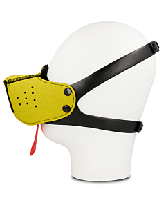 Gelber Maulkorb Ohmama