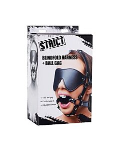 Augenmaskengeschirr mit Ballknebel