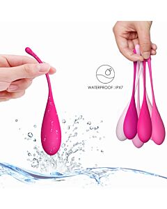 Set Kegel Fit 6 Stücke
