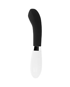 Glänzend schwarzer Vibrator