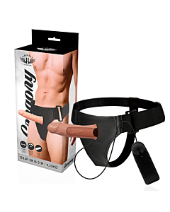 Gurt Vibrator Gregory