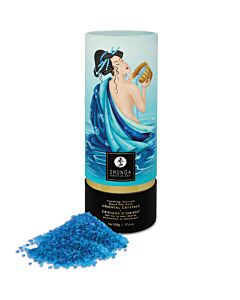 Shunga Bad Salz Ocean of Temptations - 500 g