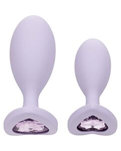 Anal-Duo Crystal Lila