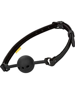 TranspiGag --> TranspiGag