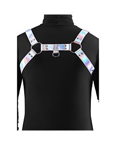 Arnes Cosmicidad --> Cosmicity Harness