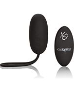 Fernaufladbares Ei schwarz