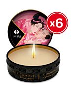 Shunga Massage Kerze Rosenblatt 6 x 30 ml