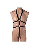 Strenger männlicher Körpergurt