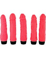 Casanova Sammlung (5 Stück)