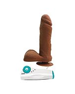 Durchschnittlich Joe der Zimmermann - Mauricio Vibr.