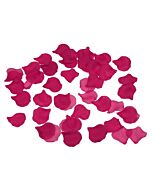 Glamouröse Fuchsia Blütenblätter