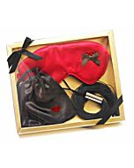 Peitsche Dominatrix Kit