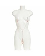 Fünfzig Farbtöne befreiten alle Sensationsnippel und Klitorisketten