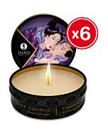 Shunga Massage Kerze exotische Frucht 6 x 30 ml