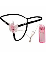 Vibrierender Schmetterling