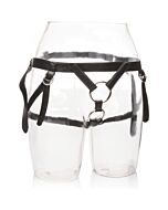 Ihr königliches Geschirr die Holländerin