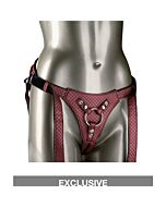 Die königliche Königin - einfaches silbernes Geschirr