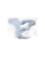 Geheime gute Fuchsia-Momente