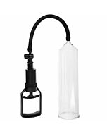 Totale Erektion Alexander