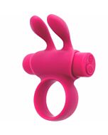 Grundlagen Rhingo plus Kirschvibrationsring