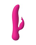 Der Blütenschwan rosa