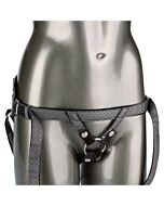 Die königliche Prinzessin - Gris