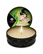 Massagekerze Shunga Caress Glow