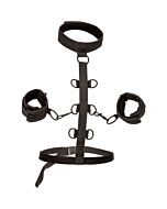 Grenzenloses Einschränkungsgeschirr