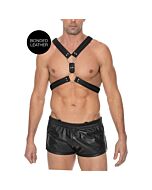 Schottischer Gürtel