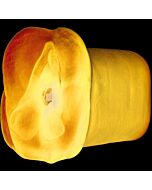 Apollo Blue Masturbator Dual-Density