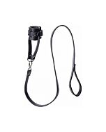 Strikte Balltrage mit Leine