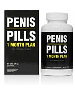 Maximale Leistung 60